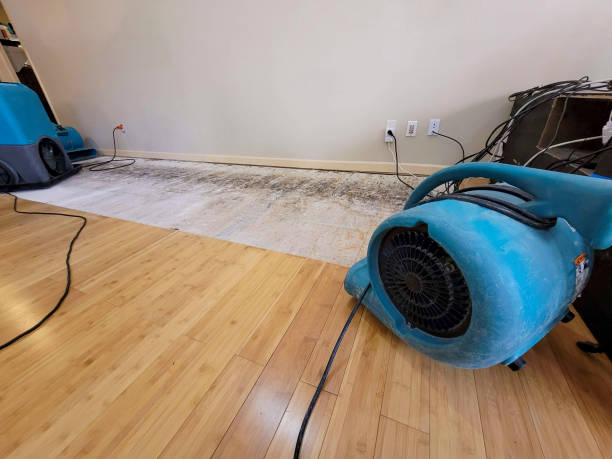 Professional Water Damage Repair technician working in Beverly, WA